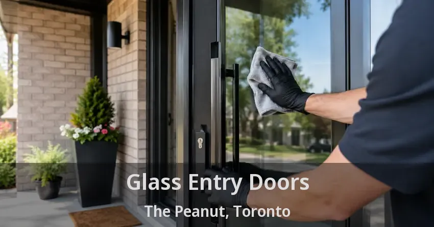 Glass Entry Doors The Peanut, Toronto - ON