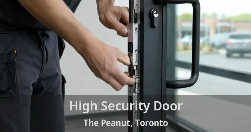 High Security Door The Peanut, Toronto - ON